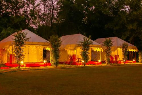 Jungle View Resort Ranthambhore