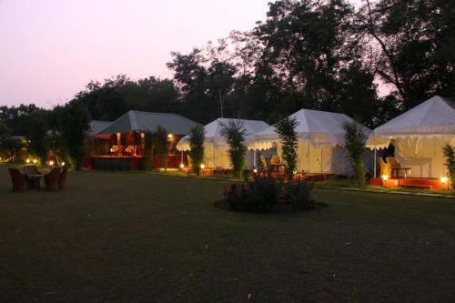Jungle View Resort Ranthambhore in Ranthambore