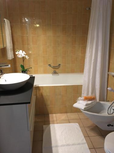 Apartment Humagne - Crans Center - image 10