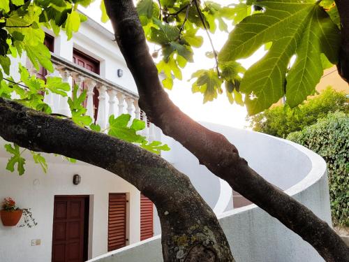  Apartman Simunic Omisalj, Unterkunft in Omišalj