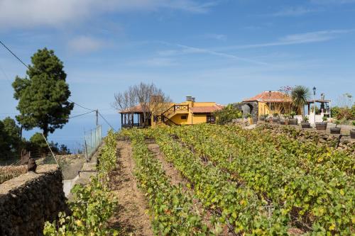 Finca Casa Yaya - image 4