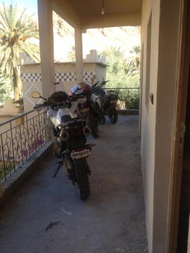 棕榈树宾馆 棕榈树宾馆