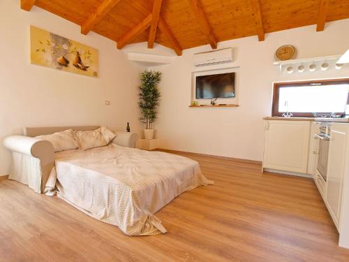  Studio Massimo 907 in Galižana