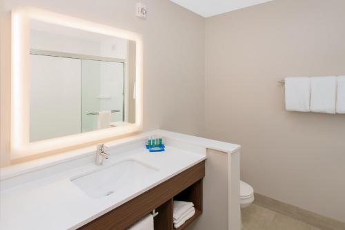 Holiday Inn Express & Suites - Sterling Heights-Detroit Area, an IHG Hotel in Sterling Heights, USA
