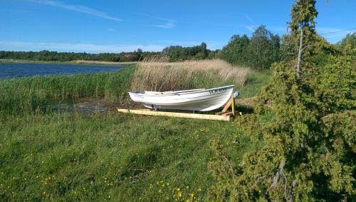 Aktivitātes, Toominga Seaside Cottage in Kivi
