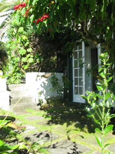 Quinta das Buganvílias - image 14