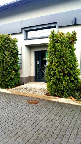 外部景觀, Apartamenty Daisy in 戈薩科維斯茲德魯伊