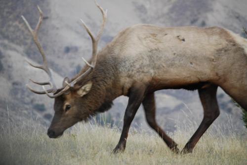 Bucks T4 Lodge - image 6