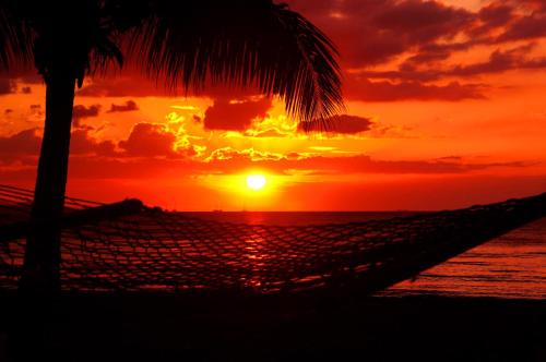 Beach, Bamboo Backpackers Hostel in Nadi