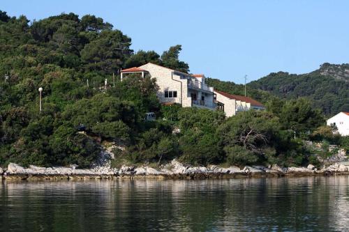 Apartments by the sea Polace Mljet - 613