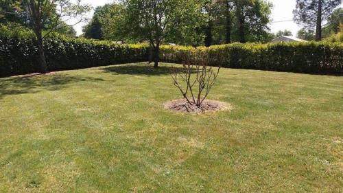 La maison d'été de mes parents