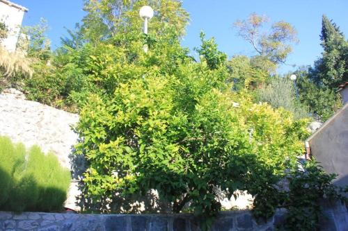 Apartments with WiFi Trsteno Dubrovnik - 8738 - image 5