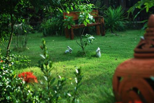 Koh Kood Little Hut Koh Kood Little Hut