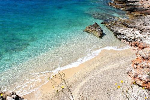 Apartments by the sea Zavala Hvar - 2986 - image 3