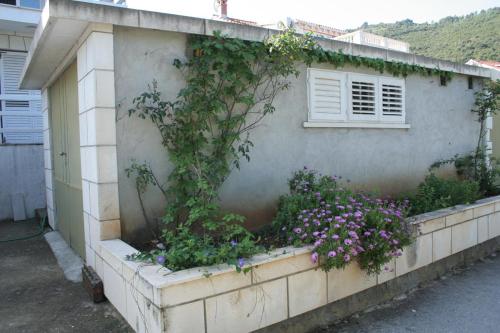 Apartments with a parking space Zrnovska Banja Korcula - 4426 - image 12