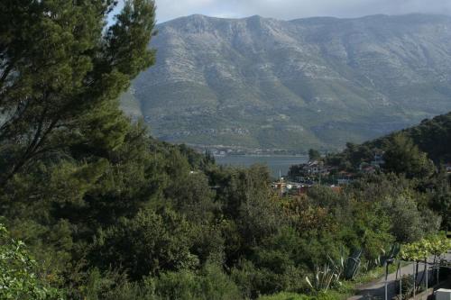  Studio Zrnovska Banja 4426b in Korčula
