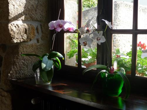 Auberge Le Ratelier - image 13