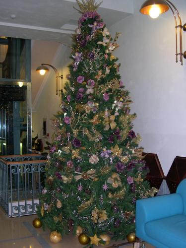 Hotel Eden - image 7