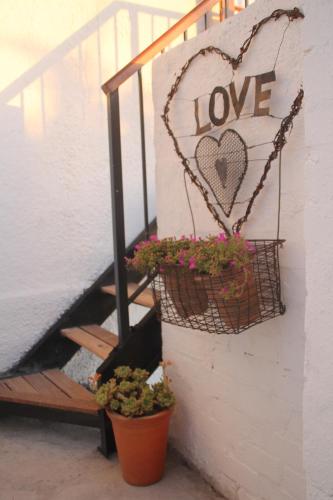 Acara Guesthouse & Cottages Room Type - Deluxe Double or Twin Room with Balcony