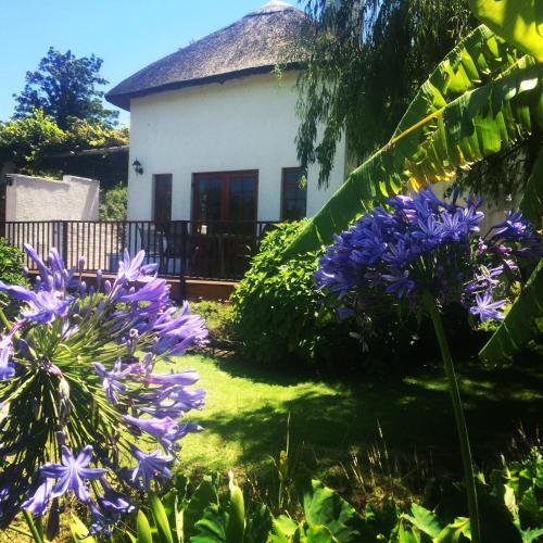 Acara Guesthouse & Cottages Room Type - Cottage with Garden View
