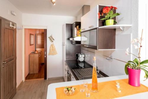  Apartment Uvala Vela Stiniva 6864a in Poljica
