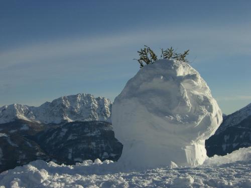 Almhotel Fichtenheim - image 10
