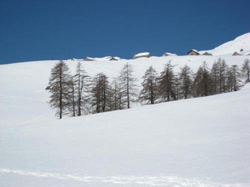 Walser App.31 Pozzi - image 4