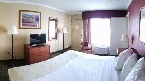 1 queen bed, 1 sofa bed