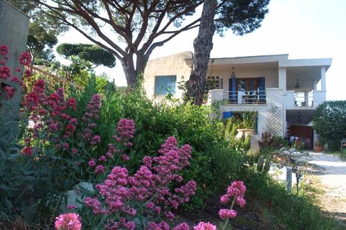 Studios "Villa Coeur sur Mer"