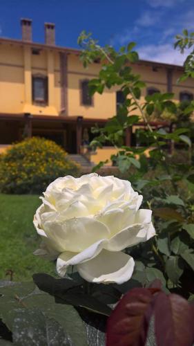 Boma Countryhouse