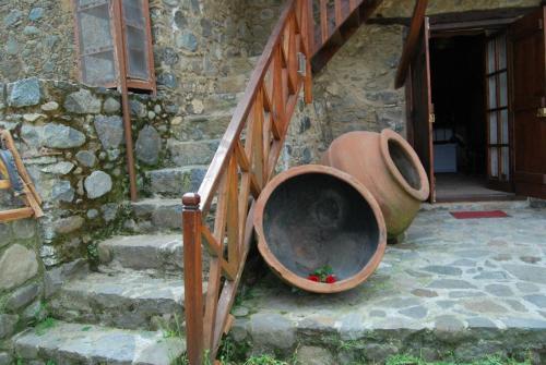 Xenis House - image 5
