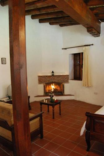 Xenis House - image 14