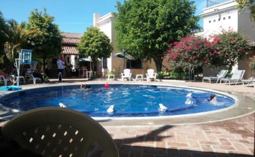120144789 Hotel Quinta Minera