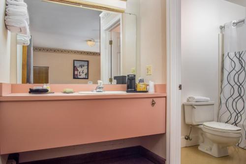 Mountain Village Lodge - image 6