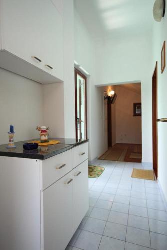Apartments by the sea Vrboska (Hvar) - 8748