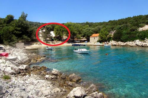 Apartments by the sea Cove Milna - Zastrazisce Hvar - 8951