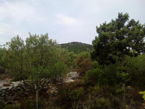 One-Bedroom Holiday Home room in Secluded fisherman's cottage Radelj Murter - 12155