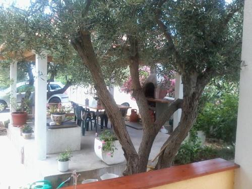 Apartment Razanj 12733b - image 7