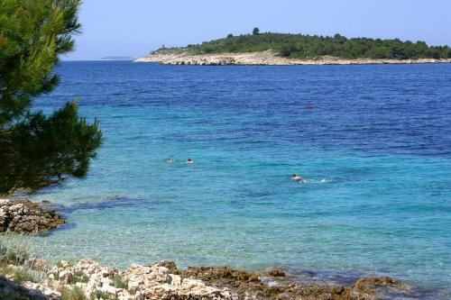 Apartments by the sea Bilo Primosten - 4202 - image 3