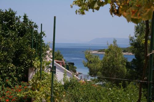  Apartment Basina 4620b in Basina