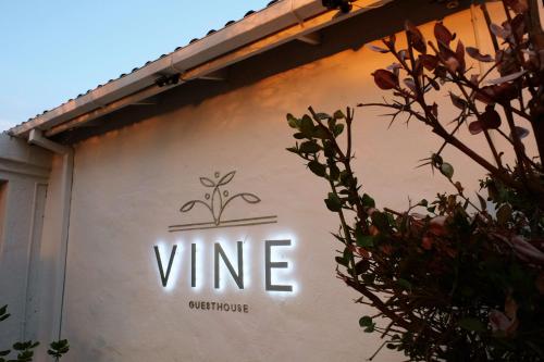 Vine Guesthouse