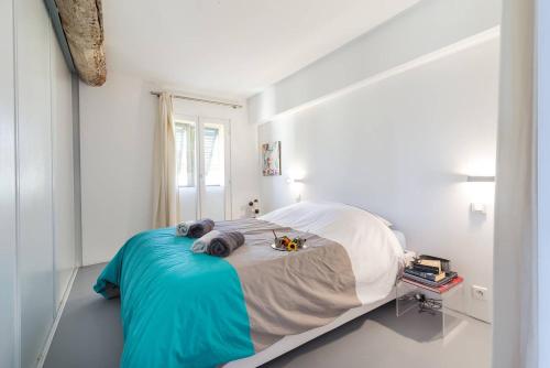 ROSS 5- F2, LUMINEUX, BALCON, LOFT, CLIM, Vieux-Nice, Nice (fotografie 6)