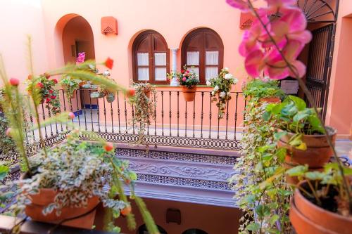 Patio de La Alameda - image 3