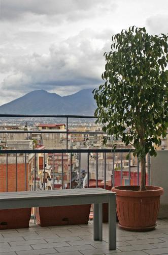 La Bella Vita Apartments - image 13