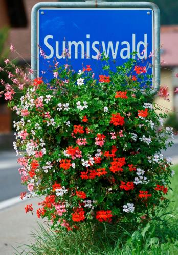 BnB SchlafSchloss - image 9