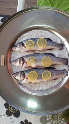 Apartment Carpe Diem 1 - image 7