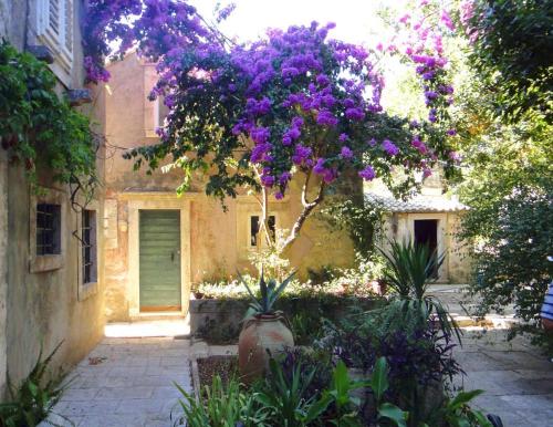Seaside holiday house Orebic Peljesac - 11853 