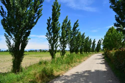 Agriturismo Cascina Maiocca - image 4