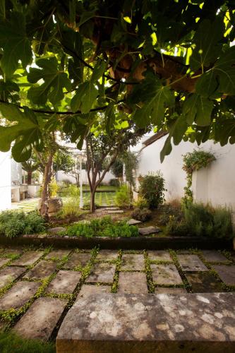 La Naca Della Taranta B&B - 정원