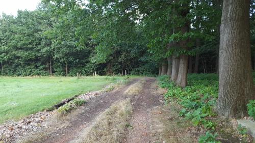  Budgetrooms Amethist in Herselt